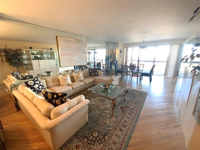 living room featuring light hardwood / wood-style flooring