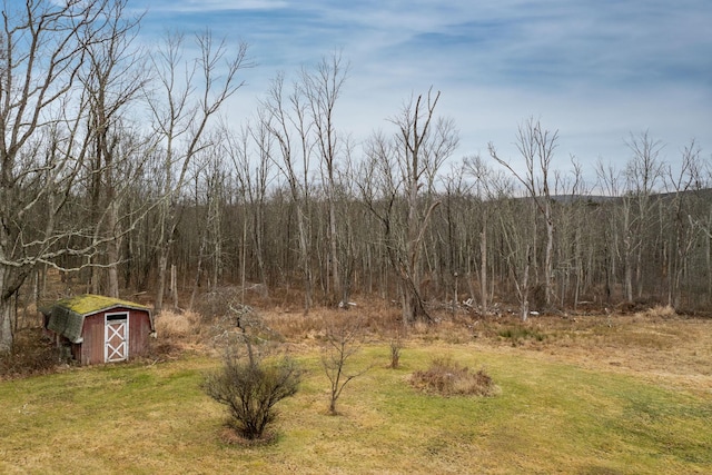 view of yard with a shed