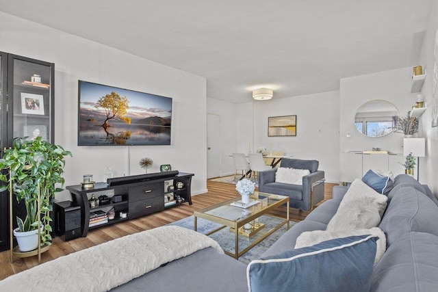 living room with hardwood / wood-style flooring