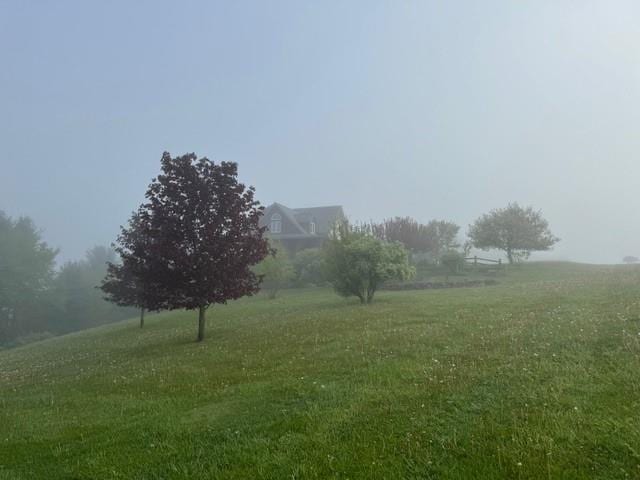 view of yard with a rural view