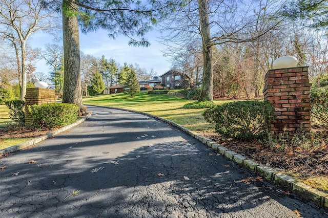 view of street featuring curbs