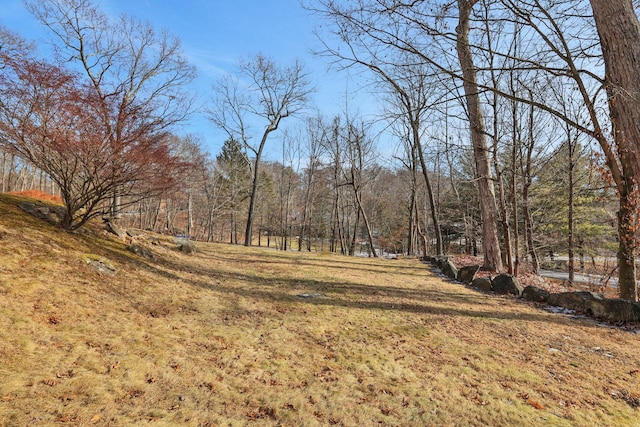 3 Fox Den Ln, North Salem, NY 10560 - view of grassy yard