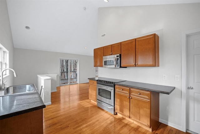 kitchen featuring sink, a wealth of natural light, light hardwood / wood-style floors, lofted ceiling, and stainless steel appliances