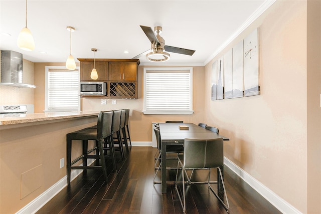 dining space with ornamental molding, dark hardwood / wood-style floors, and ceiling fan