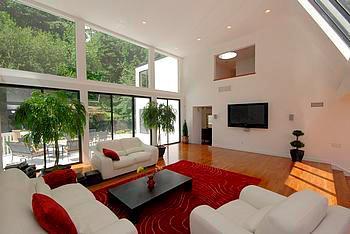 living room with a skylight, a wealth of natural light, a high ceiling, and hardwood / wood-style flooring