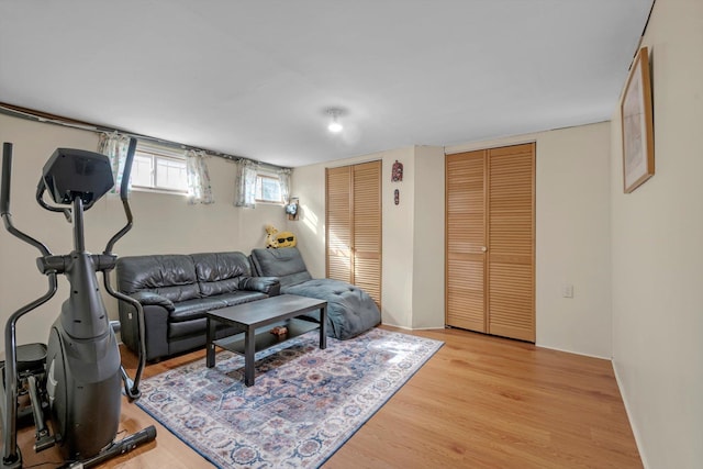 living area featuring light wood finished floors