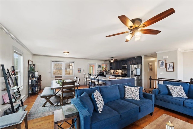 living room with dark hardwood / wood-style flooring and crown molding