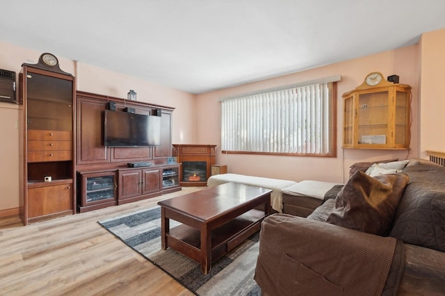 living room featuring wood-type flooring