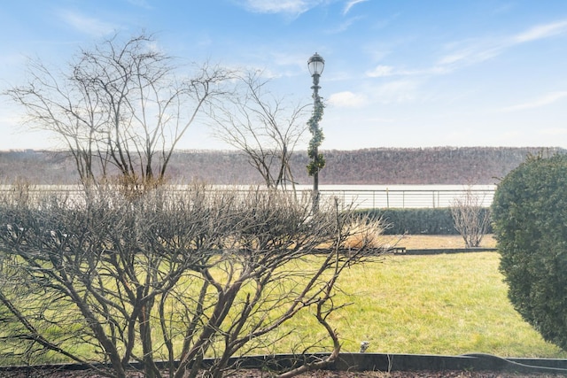 view of yard featuring a rural view