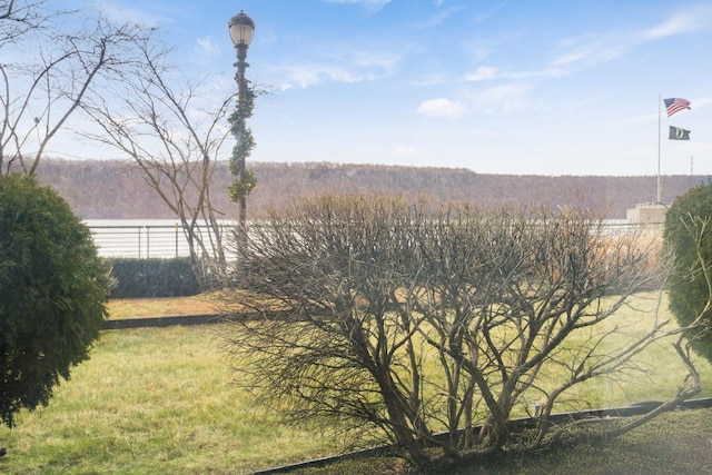 view of yard with a forest view and a water view