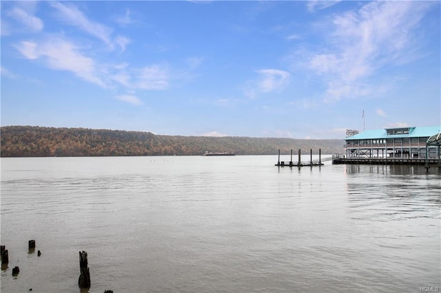 view of dock featuring a water view