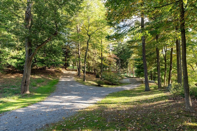 77-85 Indian Hill Rd, Bedford NY, 10506, 5 bedrooms, 4.5 baths house for sale