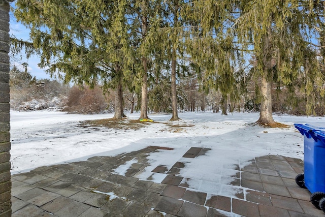 view of yard covered in snow