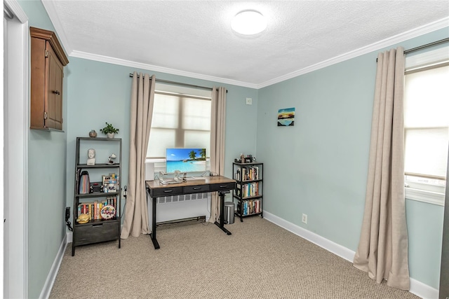 miscellaneous room with light carpet, ornamental molding, and a textured ceiling