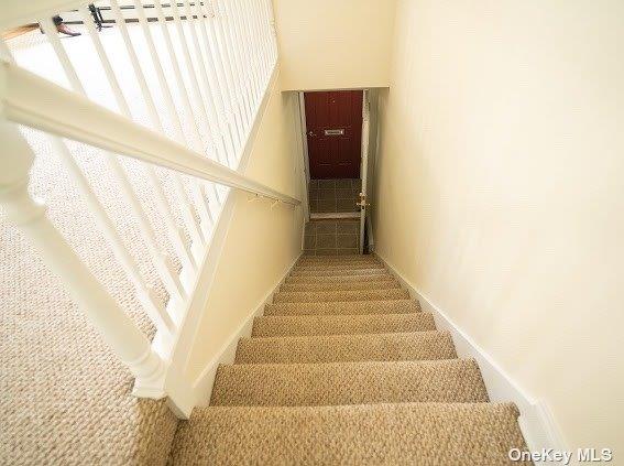 stairs featuring carpet floors