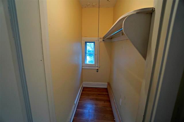 walk in closet featuring dark wood-type flooring