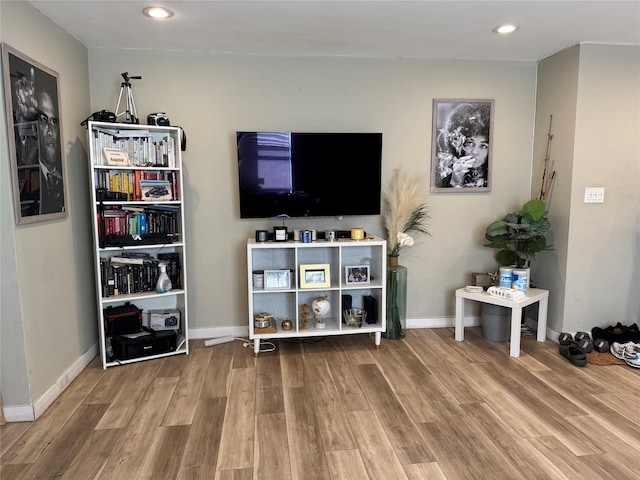 living room with wood-type flooring