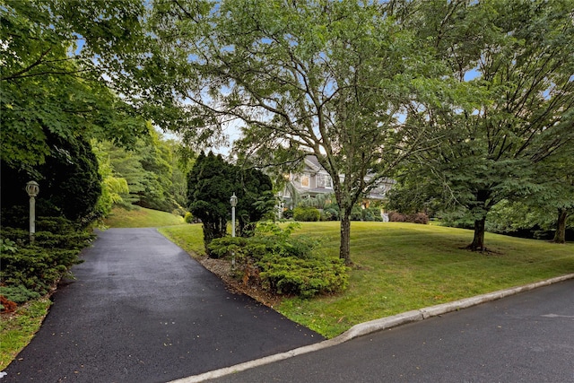 exterior space with a front lawn