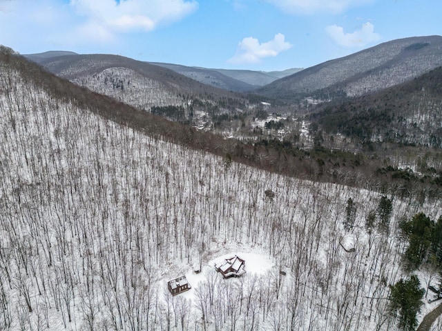 view of mountain feature