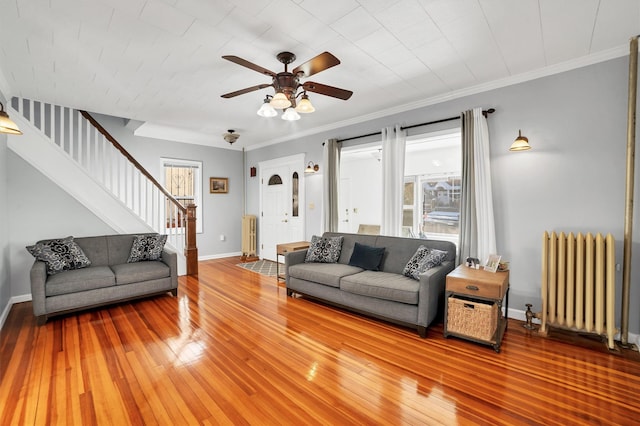 living room featuring ornamental molding, ceiling fan, radiator, and hardwood / wood-style floors