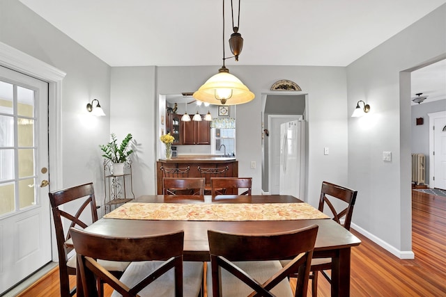 dining area featuring sink, radiator heating unit, and light hardwood / wood-style flooring