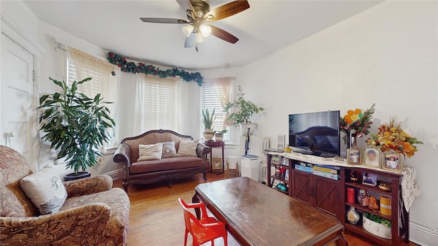 living room featuring ceiling fan and wood-type flooring