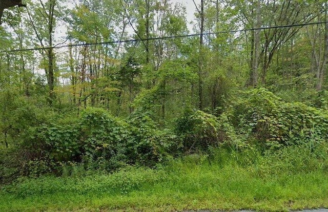 24 Penaluna Rd, Monroe NY, 10950 land for sale