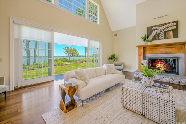 living room with a fireplace, wood-type flooring, and a high ceiling