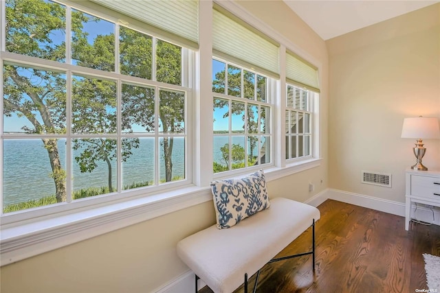 living area featuring a water view, dark hardwood / wood-style flooring, and lofted ceiling