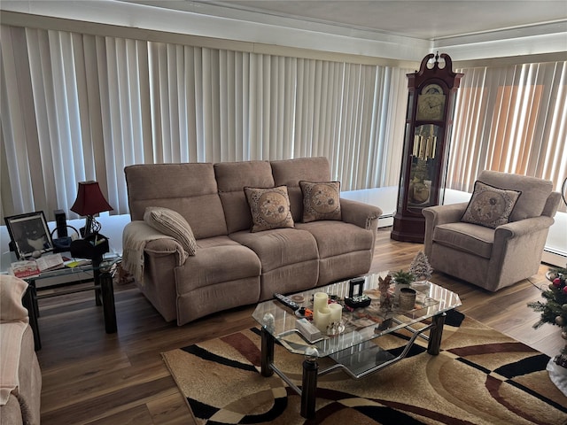 living room featuring wood-type flooring and a baseboard heating unit