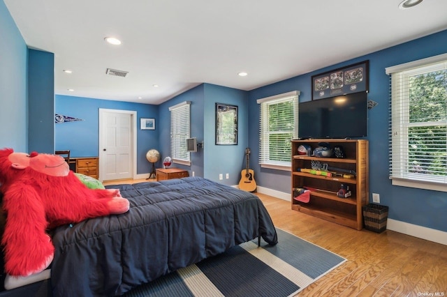 bedroom featuring multiple windows and wood-type flooring