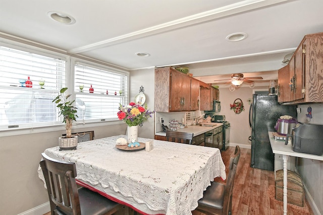 dining room featuring ceiling fan, sink, and dark hardwood / wood-style flooring