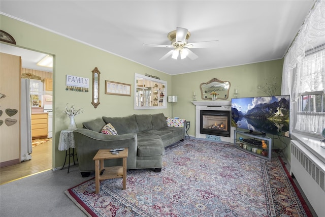 living room featuring ceiling fan, carpet, plenty of natural light, and radiator heating unit