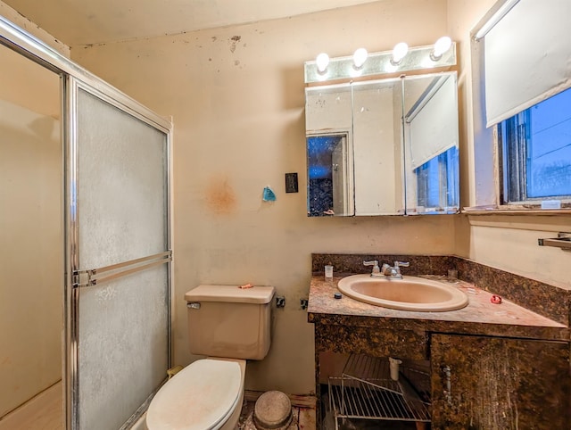 bathroom featuring sink, toilet, and an enclosed shower