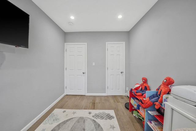 playroom featuring wood-type flooring