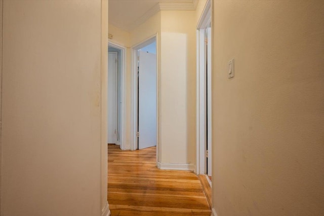 hallway featuring crown molding and light hardwood / wood-style flooring