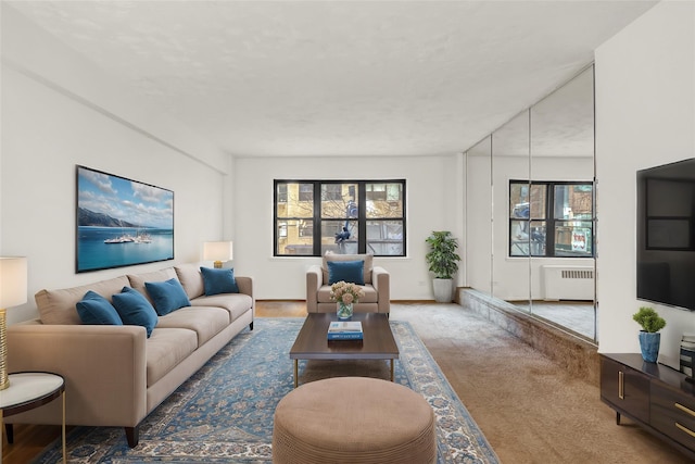 carpeted living room with radiator heating unit