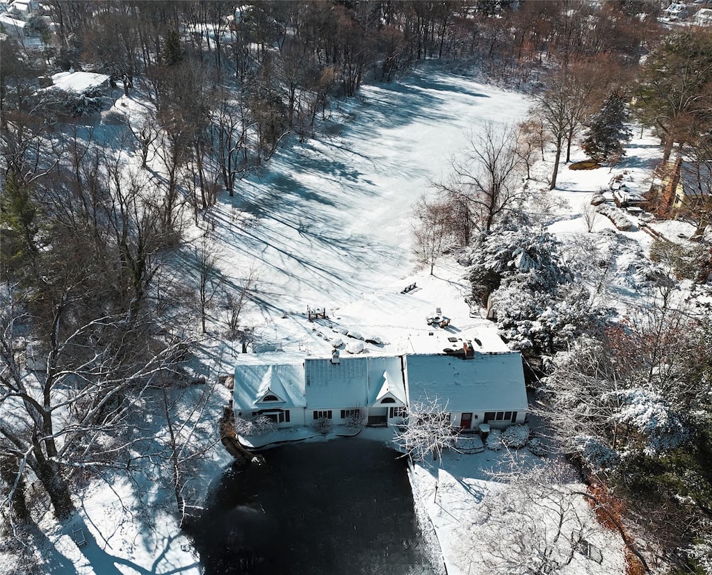 view of snowy aerial view