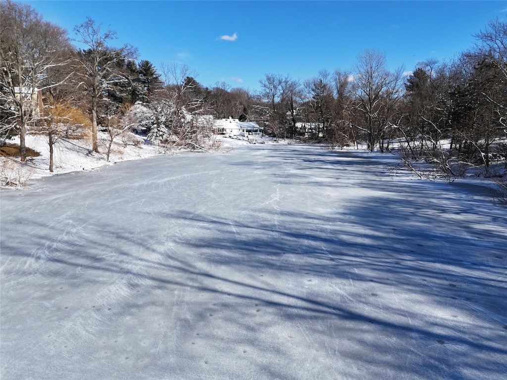 view of snowy yard