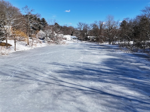 view of snowy yard