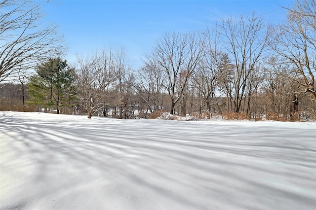 view of yard covered in snow