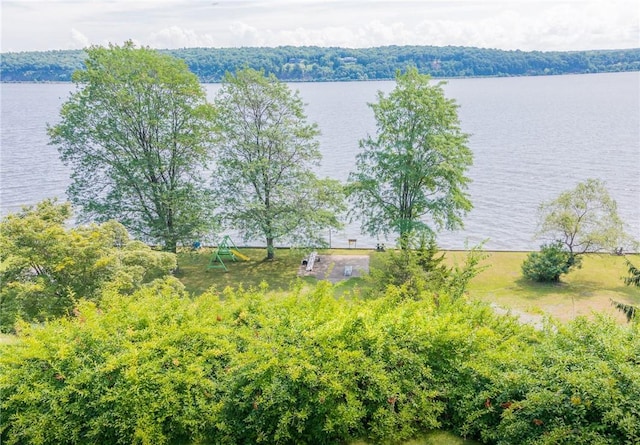 bird's eye view with a water view