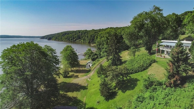 drone / aerial view with a water view