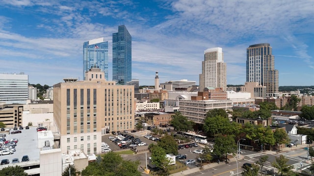 property's view of city