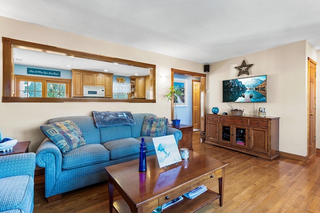 living room with light wood-type flooring