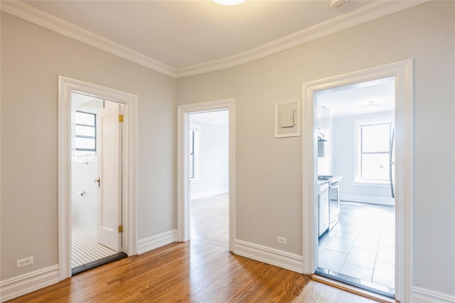 hallway with ornamental molding and light wood-type flooring