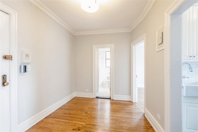 interior space with sink, light hardwood / wood-style flooring, and ornamental molding