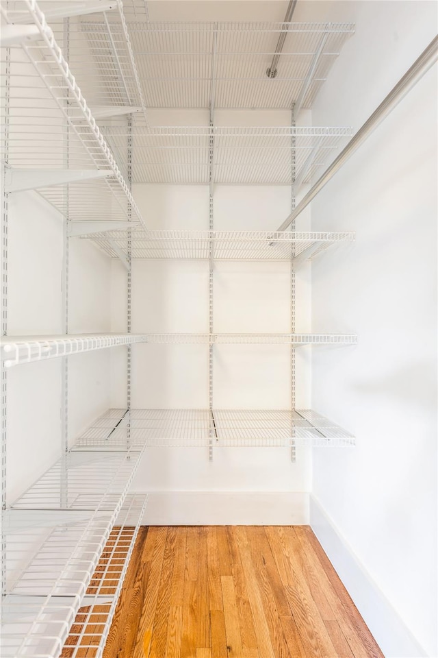 spacious closet featuring wood-type flooring