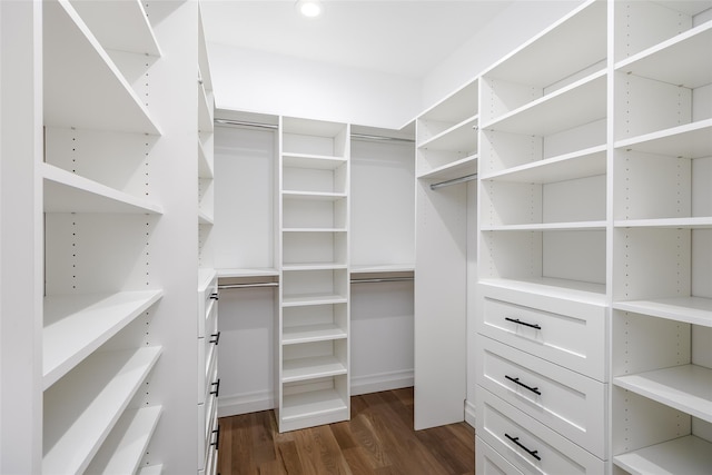 spacious closet featuring dark hardwood / wood-style floors