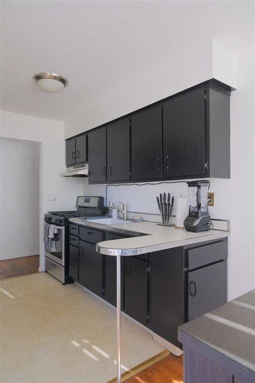 kitchen with sink, light wood-type flooring, and gas stove